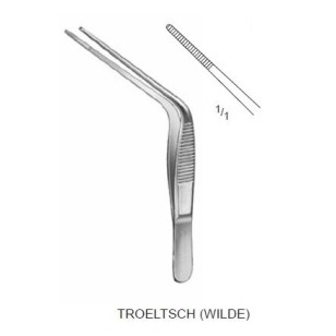 TROELTSCH